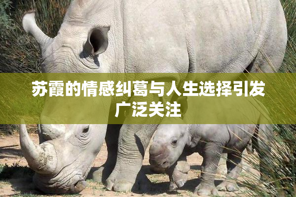 苏霞的情感纠葛与人生选择引发广泛关注