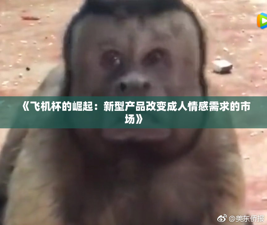 《飞机杯的崛起：新型产品改变成人情感需求的市场》