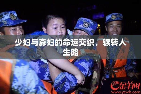 少妇与寡妇的命运交织，辗转人生路