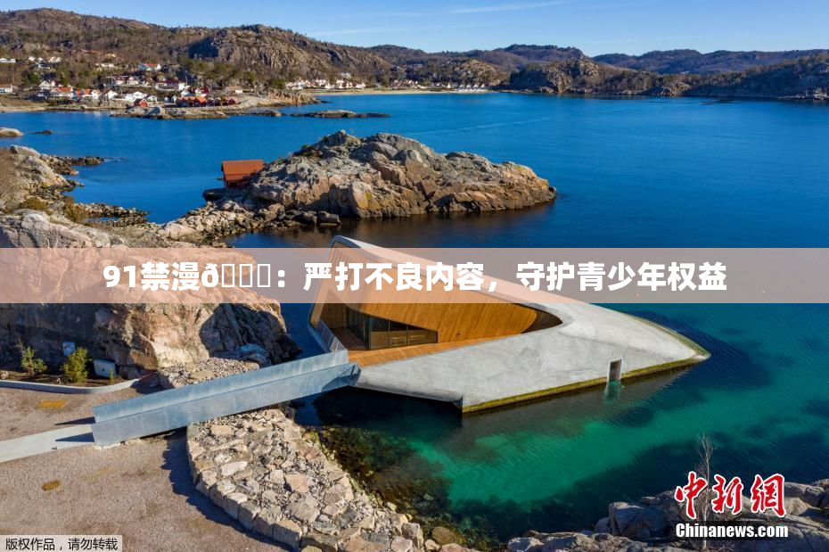 91禁漫🍆：严打不良内容，守护青少年权益
