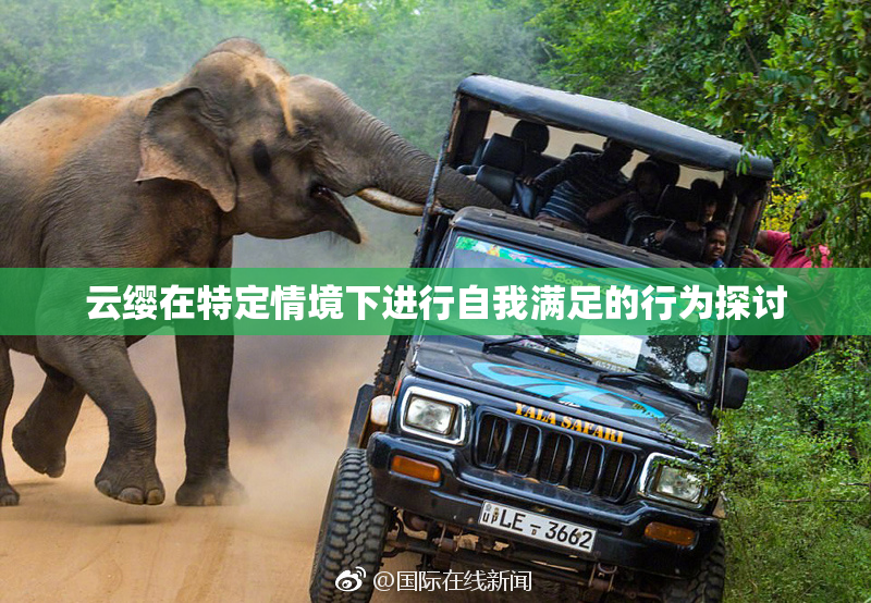 云缨在特定情境下进行自我满足的行为探讨