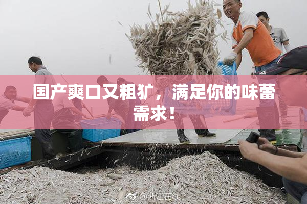 国产爽口又粗犷，满足你的味蕾需求！