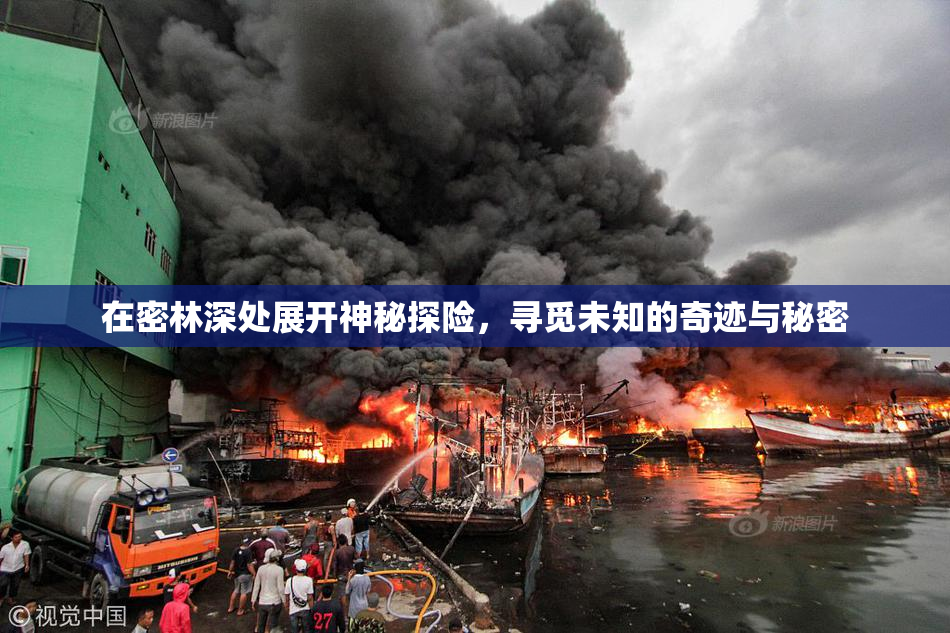 在密林深处展开神秘探险，寻觅未知的奇迹与秘密