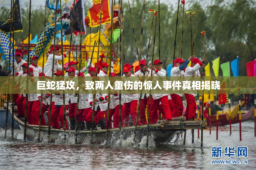 巨蛇猛攻，致两人重伤的惊人事件真相揭晓