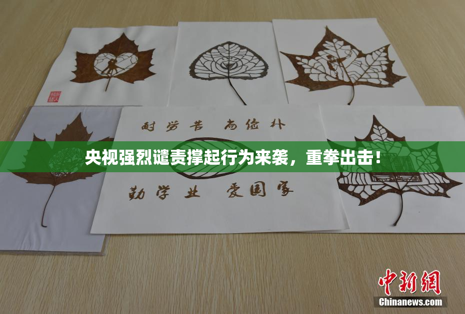 央视强烈谴责撑起行为来袭，重拳出击！