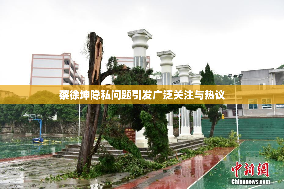 蔡徐坤隐私问题引发广泛关注与热议