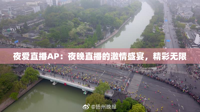 夜爱直播AP：夜晚直播的激情盛宴，精彩无限