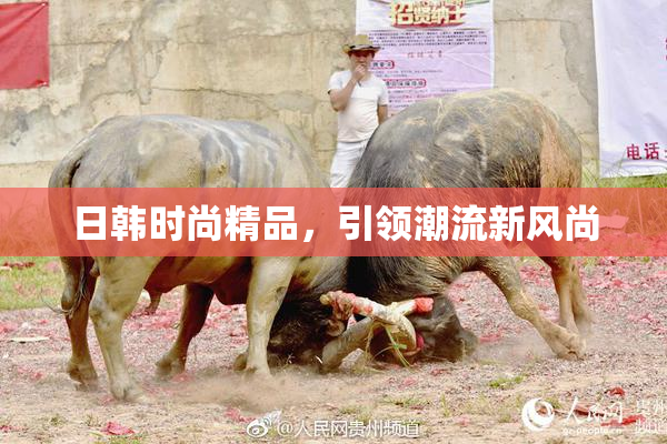 日韩时尚精品，引领潮流新风尚