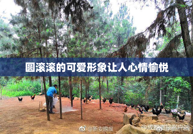圆滚滚的可爱形象让人心情愉悦