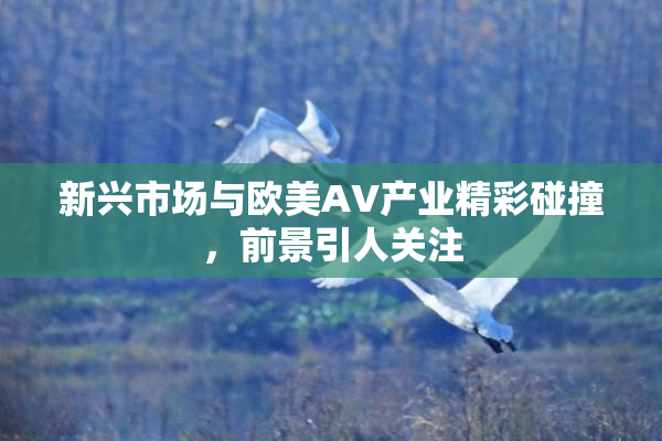新兴市场与欧美AV产业精彩碰撞，前景引人关注
