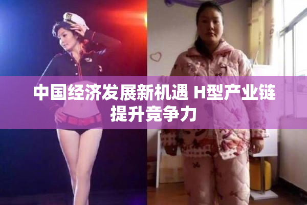 中国经济发展新机遇 H型产业链提升竞争力