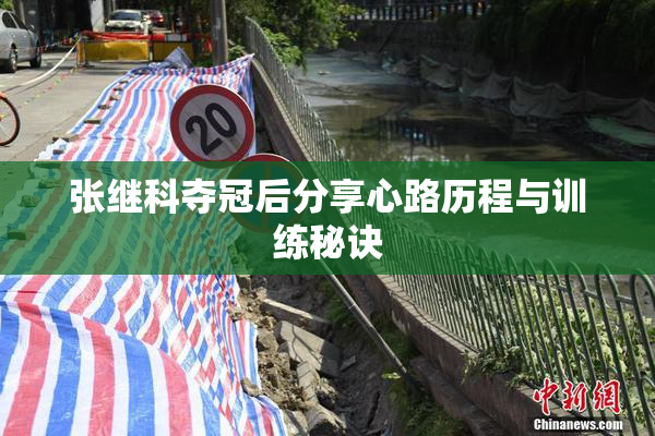 张继科夺冠后分享心路历程与训练秘诀