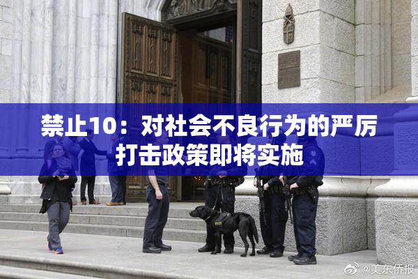 禁止10：对社会不良行为的严厉打击政策即将实施