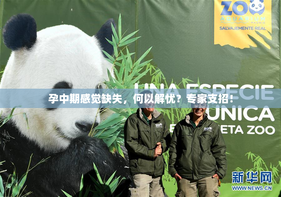 孕中期感觉缺失，何以解忧？专家支招！