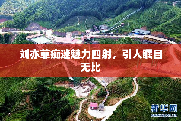 刘亦菲痴迷魅力四射，引人瞩目无比
