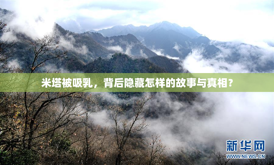 米塔被吸乳，背后隐藏怎样的故事与真相？