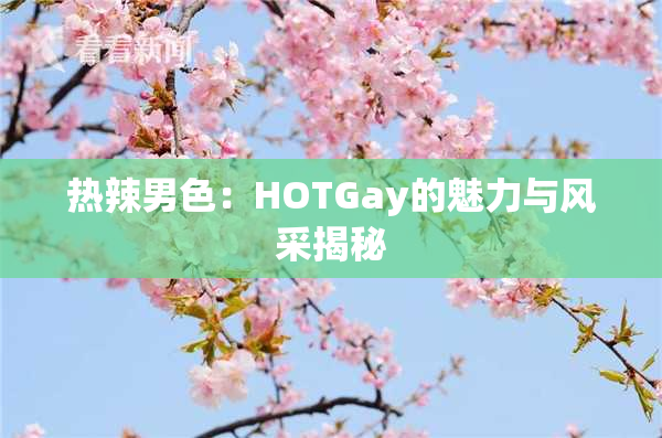 热辣男色：HOTGay的魅力与风采揭秘
