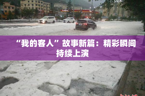 “我的客人”故事新篇：精彩瞬间持续上演