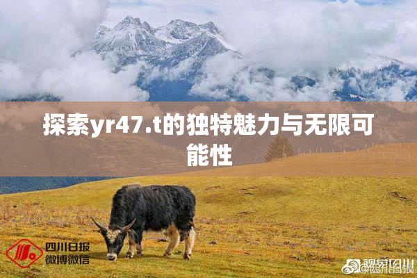 探索yr47.t的独特魅力与无限可能性