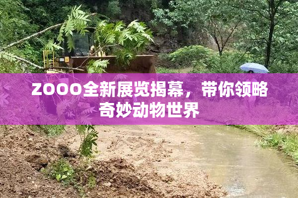 ZOOO全新展览揭幕，带你领略奇妙动物世界