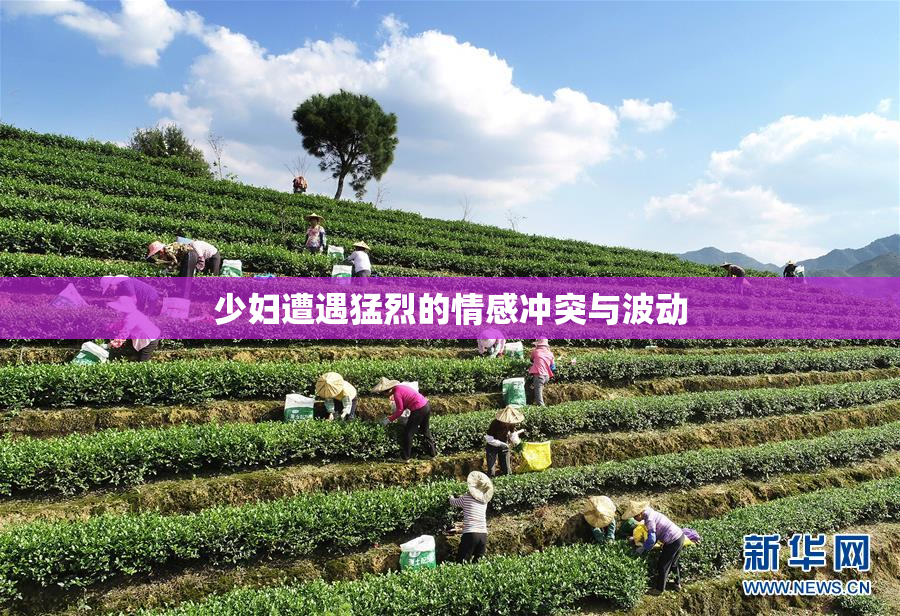 少妇遭遇猛烈的情感冲突与波动