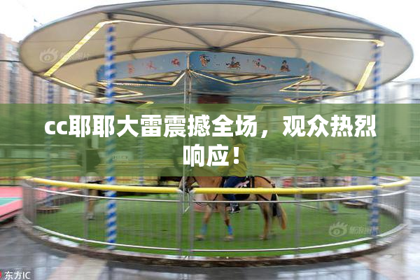 cc耶耶大雷震撼全场，观众热烈响应！