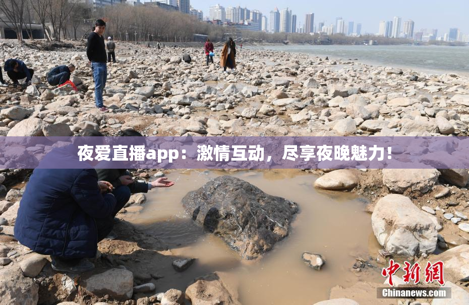 夜爱直播app：激情互动，尽享夜晚魅力！