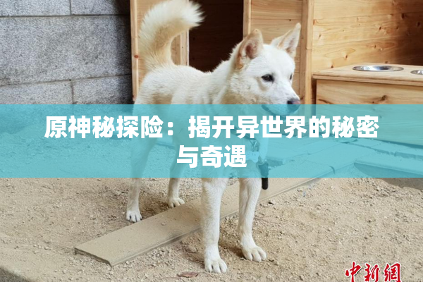 原神秘探险：揭开异世界的秘密与奇遇