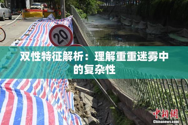 双性特征解析：理解重重迷雾中的复杂性