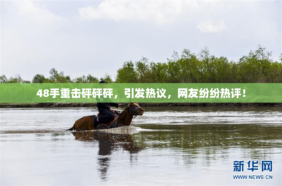 48手重击砰砰砰，引发热议，网友纷纷热评！