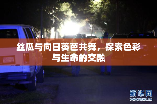 丝瓜与向日葵芭共舞，探索色彩与生命的交融