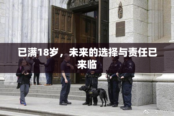 已满18岁，未来的选择与责任已来临
