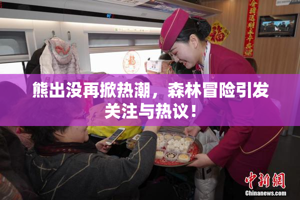 熊出没再掀热潮，森林冒险引发关注与热议！