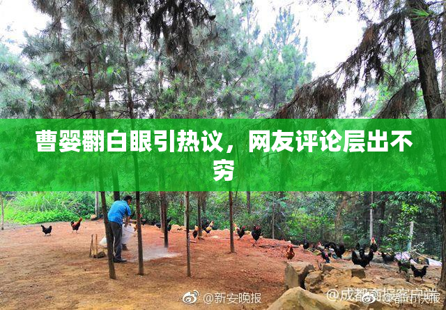 曹婴翻白眼引热议，网友评论层出不穷