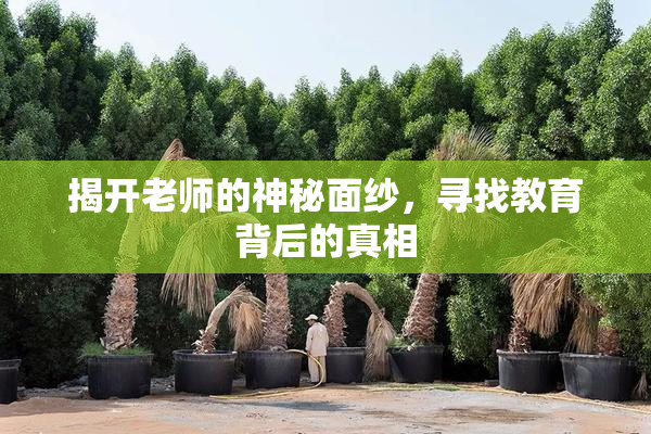 揭开老师的神秘面纱，寻找教育背后的真相