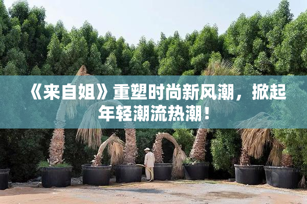 《来自姐》重塑时尚新风潮，掀起年轻潮流热潮！