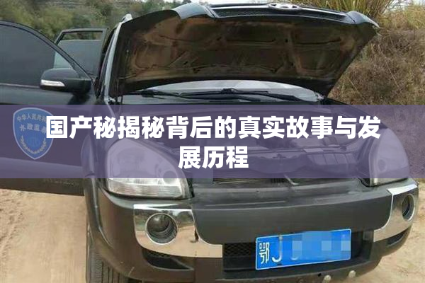 国产秘揭秘背后的真实故事与发展历程