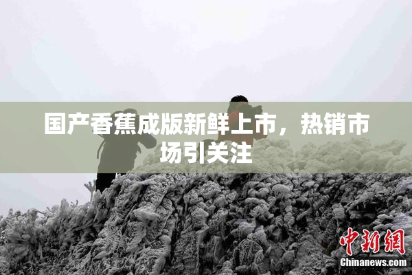 国产香蕉成版新鲜上市，热销市场引关注