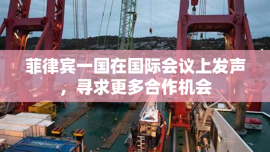 菲律宾一国在国际会议上发声，寻求更多合作机会