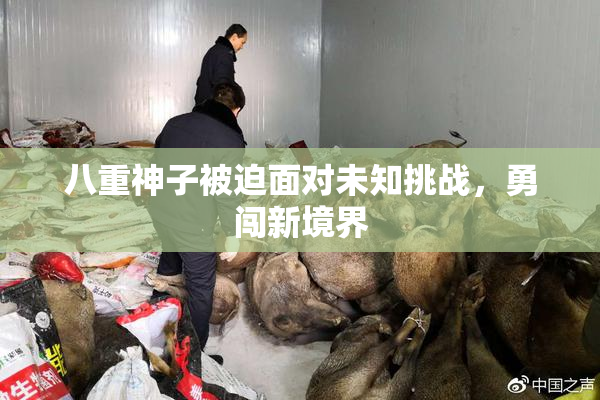 八重神子被迫面对未知挑战，勇闯新境界