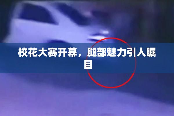校花大赛开幕，腿部魅力引人瞩目