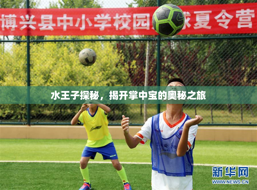 水王子探秘，揭开掌中宝的奥秘之旅