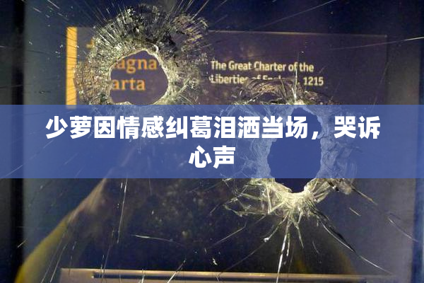 少萝因情感纠葛泪洒当场，哭诉心声