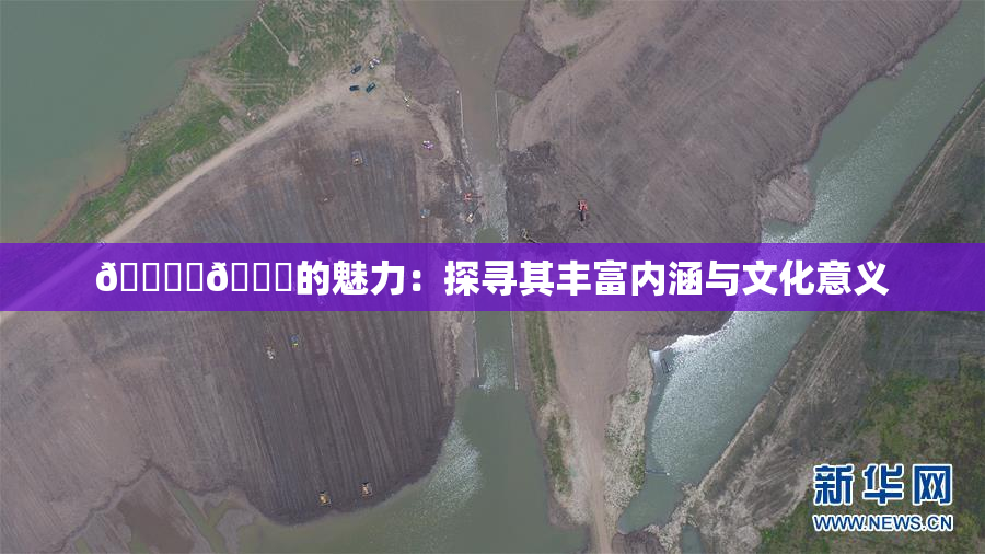 🔞‌🍌的魅力：探寻其丰富内涵与文化意义