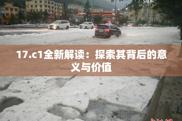 17.c1全新解读：探索其背后的意义与价值