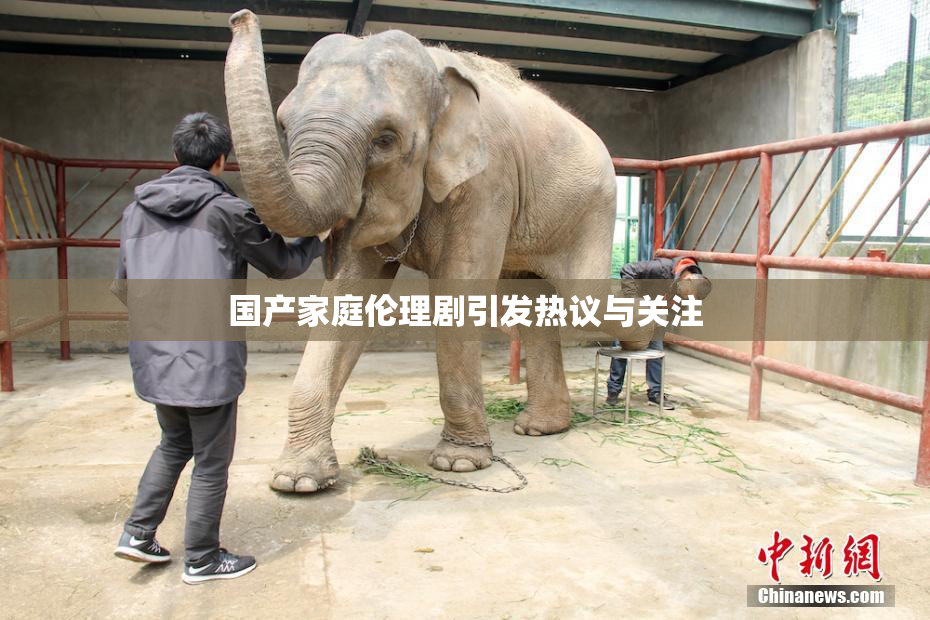 国产家庭伦理剧引发热议与关注