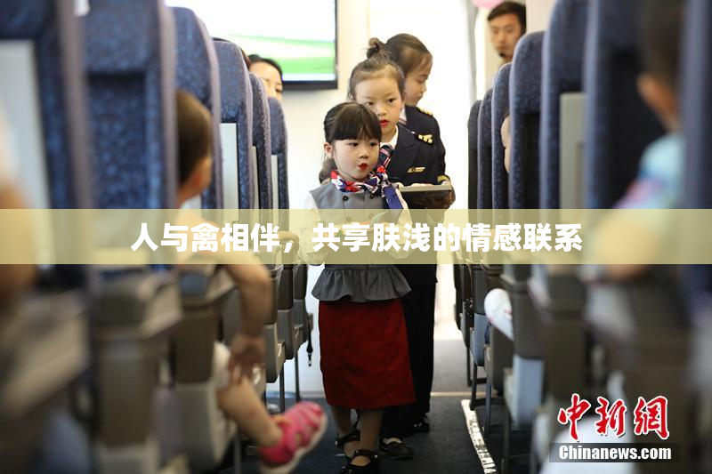 人与禽相伴，共享肤浅的情感联系