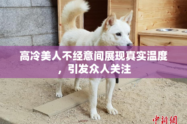高冷美人不经意间展现真实温度，引发众人关注