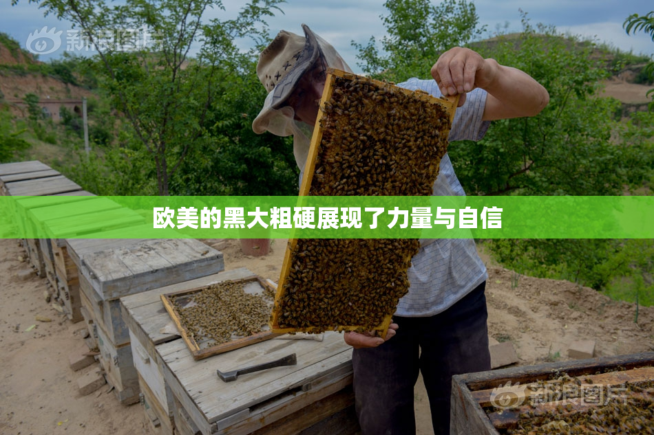 欧美的黑大粗硬展现了力量与自信