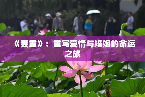 《妻重》：重写爱情与婚姻的命运之旅